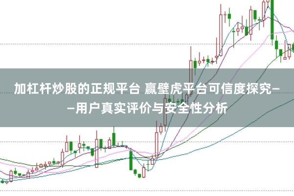 加杠杆炒股的正规平台 赢壁虎平台可信度探究——用户真实评价与安全性分析