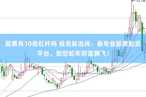 股票有10倍杠杆吗 投资新选择：最专业股票配资平台，助您蛇年财富腾飞！