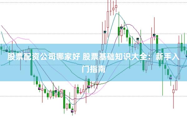 股票配资公司哪家好 股票基础知识大全：新手入门指南