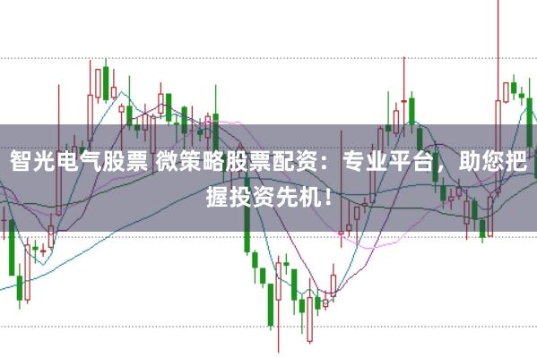 智光电气股票 微策略股票配资：专业平台，助您把握投资先机！