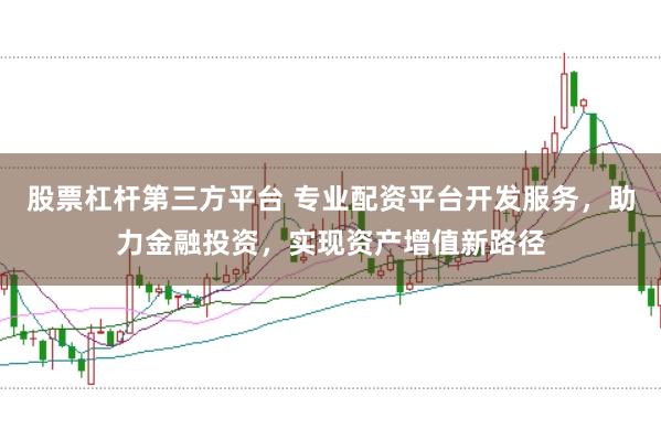 股票杠杆第三方平台 专业配资平台开发服务，助力金融投资，实现资产增值新路径