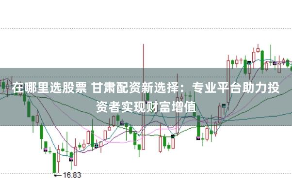 在哪里选股票 甘肃配资新选择：专业平台助力投资者实现财富增值