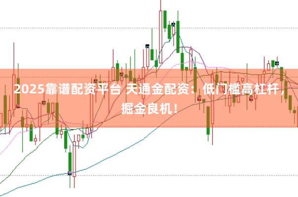 2025靠谱配资平台 天通金配资：低门槛高杠杆，掘金良机！