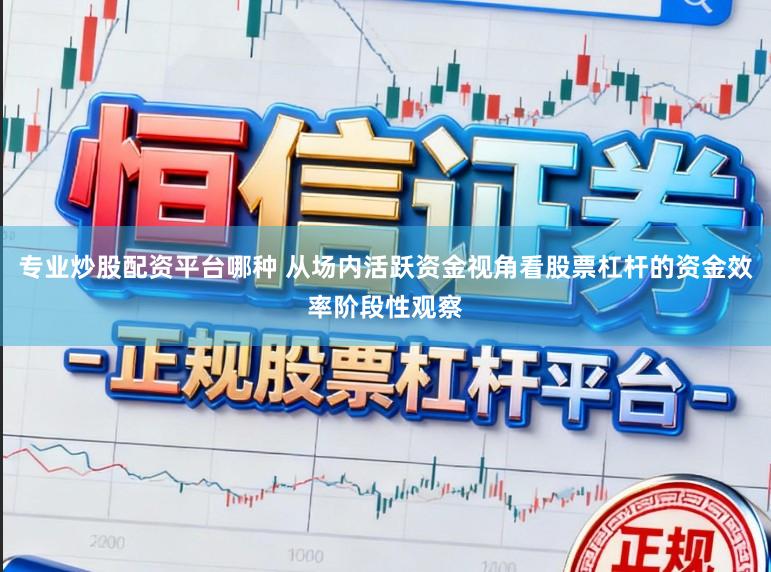 专业炒股配资平台哪种 从场内活跃资金视角看股票杠杆的资金效率阶段性观察